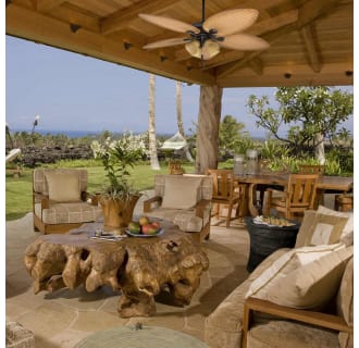 A thumbnail of the Honeywell Ceiling Fans Palm Valley 4 Light Alternate Image