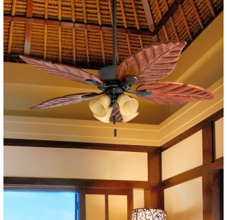 A thumbnail of the Honeywell Ceiling Fans Royal Palm 4 Light Alternate Image