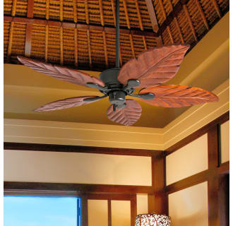 A thumbnail of the Honeywell Ceiling Fans Willow View Alternate Image