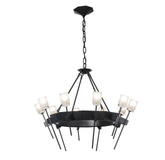 A thumbnail of the Hubbardton Forge 101525 Alternate Image