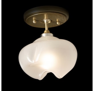 A thumbnail of the Hubbardton Forge 121372-1242 Alternate Image