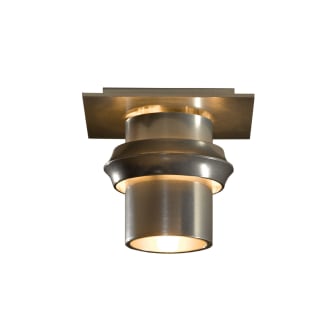 A thumbnail of the Hubbardton Forge 124910 Alternate Image