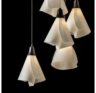 A thumbnail of the Hubbardton Forge 131102-1004 Alternate Image