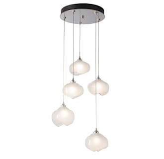A thumbnail of the Hubbardton Forge 131123-LONG Alternate Image