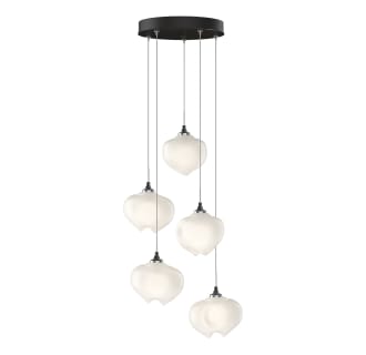 A thumbnail of the Hubbardton Forge 131123-STANDARD Alternate Image