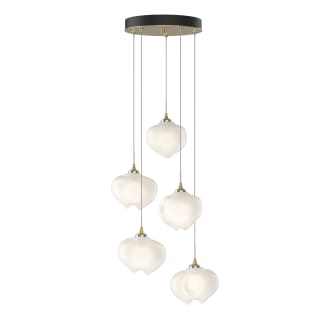 A thumbnail of the Hubbardton Forge 131123-STANDARD Alternate Image