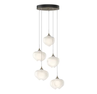 A thumbnail of the Hubbardton Forge 131123-STANDARD Alternate Image