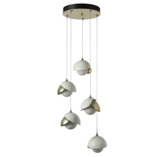 A thumbnail of the Hubbardton Forge 131125 Alternate Image