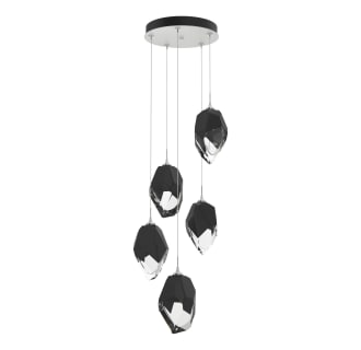 A thumbnail of the Hubbardton Forge 131138 Alternate Image