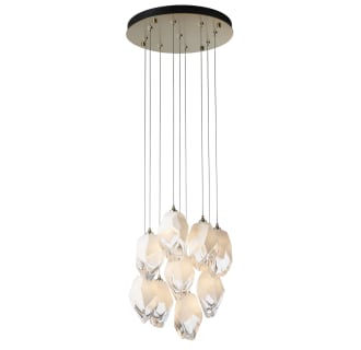 A thumbnail of the Hubbardton Forge 131141 Alternate Image