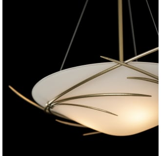 A thumbnail of the Hubbardton Forge 131620 Alternate Image