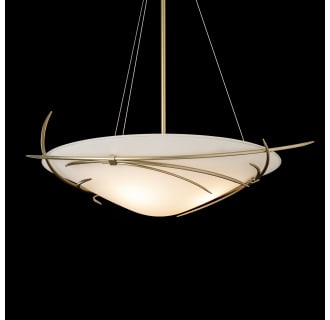 A thumbnail of the Hubbardton Forge 131620 Alternate Image