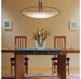 A thumbnail of the Hubbardton Forge 134328-LONG Alternate Image
