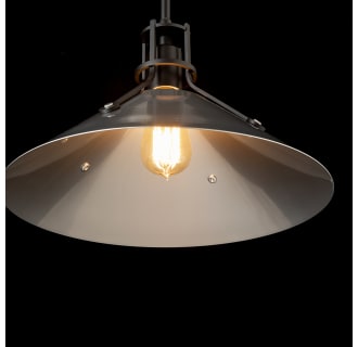 A thumbnail of the Hubbardton Forge 134550 Alternate Image