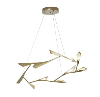 A thumbnail of the Hubbardton Forge 135005-STANDARD Alternate Image