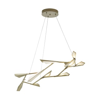 A thumbnail of the Hubbardton Forge 135005-STANDARD Alternate Image
