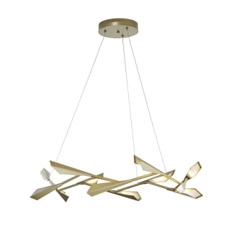 A thumbnail of the Hubbardton Forge 135005-STANDARD Alternate Image