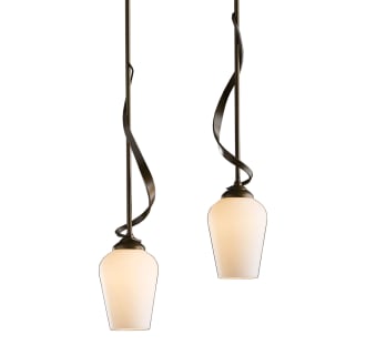 A thumbnail of the Hubbardton Forge 136340 Alternate Image