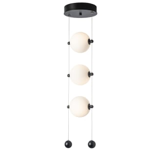 A thumbnail of the Hubbardton Forge 139059 Alternate Image
