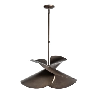 A thumbnail of the Hubbardton Forge 139455 Alternate Image