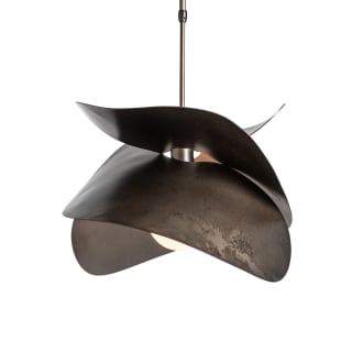 A thumbnail of the Hubbardton Forge 139455 Alternate Image