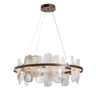 A thumbnail of the Hubbardton Forge 139660-1001 Alternate Image