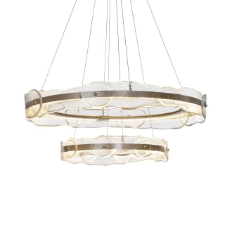 A thumbnail of the Hubbardton Forge 139782-1007 Alternate Image