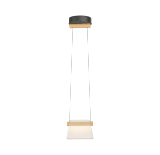 A thumbnail of the Hubbardton Forge 151060 Alternate Image