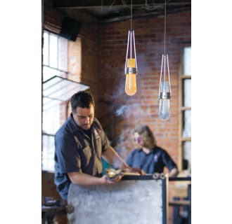 A thumbnail of the Hubbardton Forge 161040-STANDARD Alternate Image