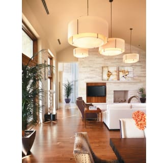 A thumbnail of the Hubbardton Forge 194630 Alternate Image