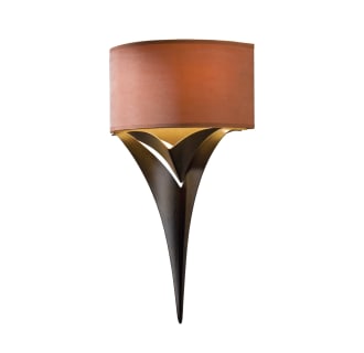 A thumbnail of the Hubbardton Forge 205315 Alternate Image