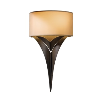 A thumbnail of the Hubbardton Forge 205315 Alternate Image