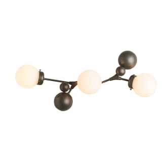 A thumbnail of the Hubbardton Forge 206050 Alternate Image