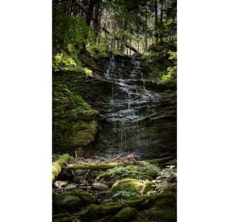 A thumbnail of the Hubbardton Forge 272112 Alternate Image