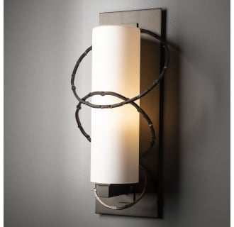 A thumbnail of the Hubbardton Forge 302403 Alternate Image