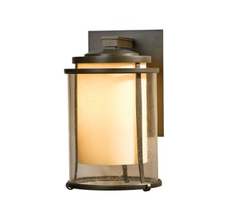 A thumbnail of the Hubbardton Forge 305615 Alternate Image