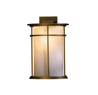 A thumbnail of the Hubbardton Forge 305655 Hubbardton Forge 305655