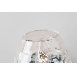 A thumbnail of the Hudson Valley Lighting 1253 Shade Detail