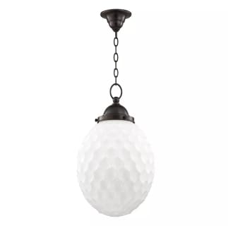A thumbnail of the Hudson Valley Lighting 3012 Alternate View