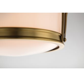 A thumbnail of the Hudson Valley Lighting 6513 Shade Detail