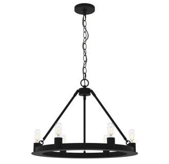 A thumbnail of the Hunter Saddlewood 24 Chandelier NI - Canopy