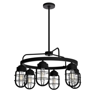 A thumbnail of the Hunter Starklake 26 Chandelier Chandelier with Canopy - NI