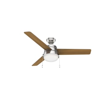 Ceiling Fans