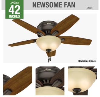A thumbnail of the Hunter Newsome 42 Low Profile Hunter 51081 Ceiling Fan Details