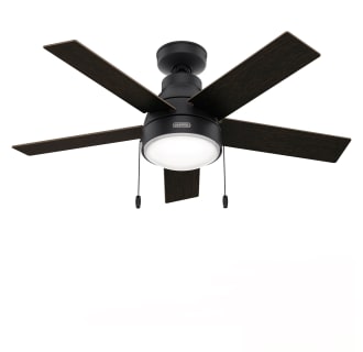 Hunter Ceiling Fans