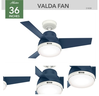 A thumbnail of the Hunter Valda 36 LED Hunter 51838 Ceiling Fan Details