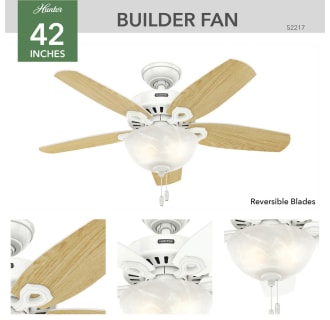 A thumbnail of the Hunter Builder Small Room Bowl Hunter 52217 Builder Ceiling Fan Details