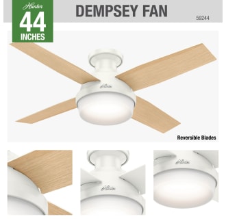 A thumbnail of the Hunter Dempsey 44 LED Low Profile Hunter 59244 Dempsey Ceiling Fan Details
