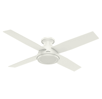 Hunter Ceiling Fans