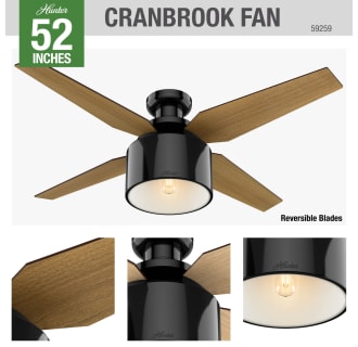 A thumbnail of the Hunter Cranbrook 52 Low Profile Hunter 59259 Cranbrook Ceiling Fan Details